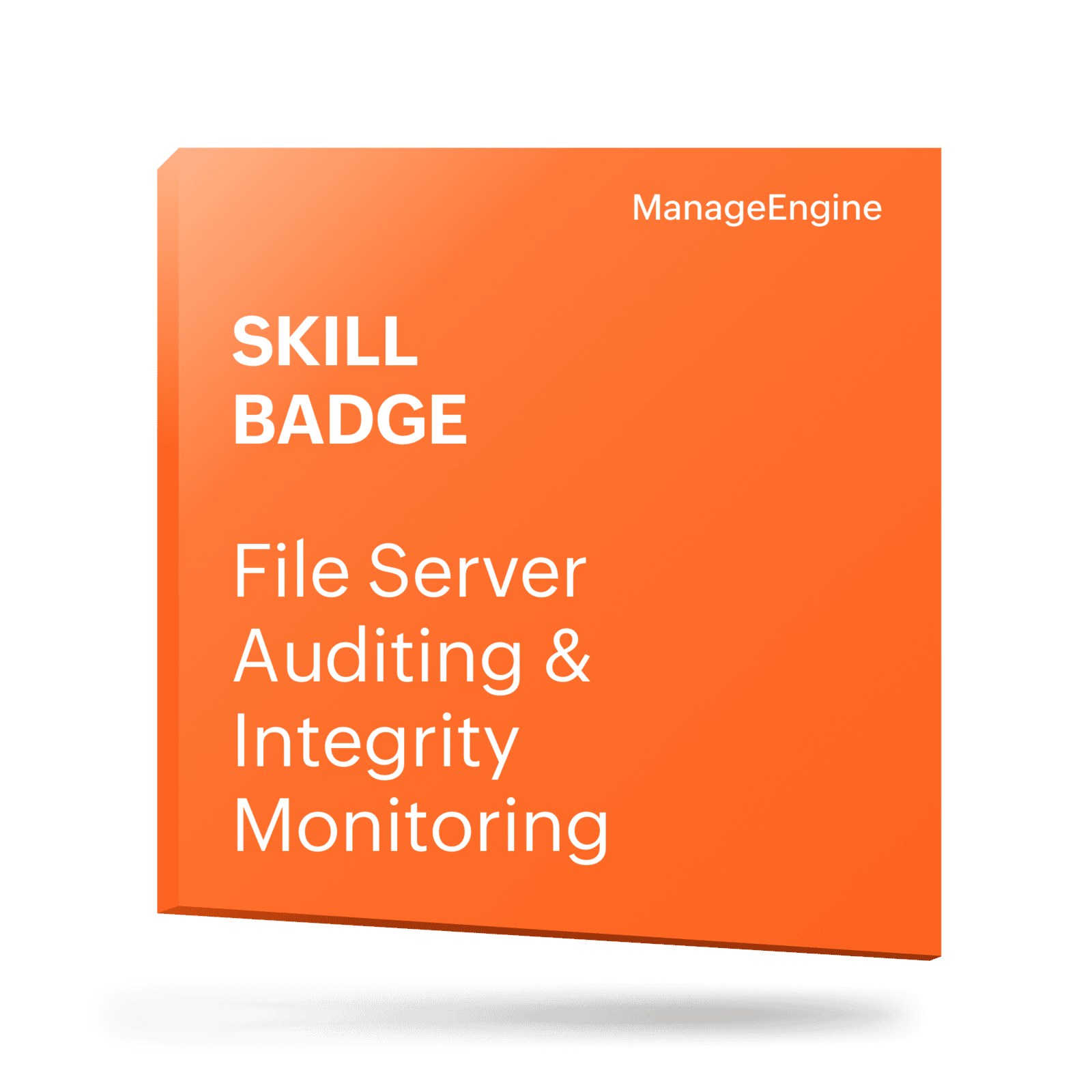 File Audit DSP