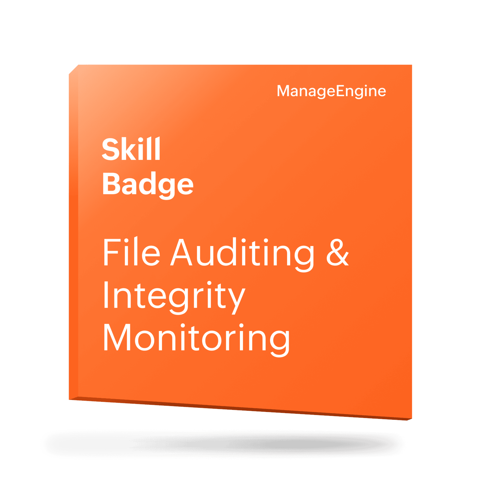 File Audit DSP