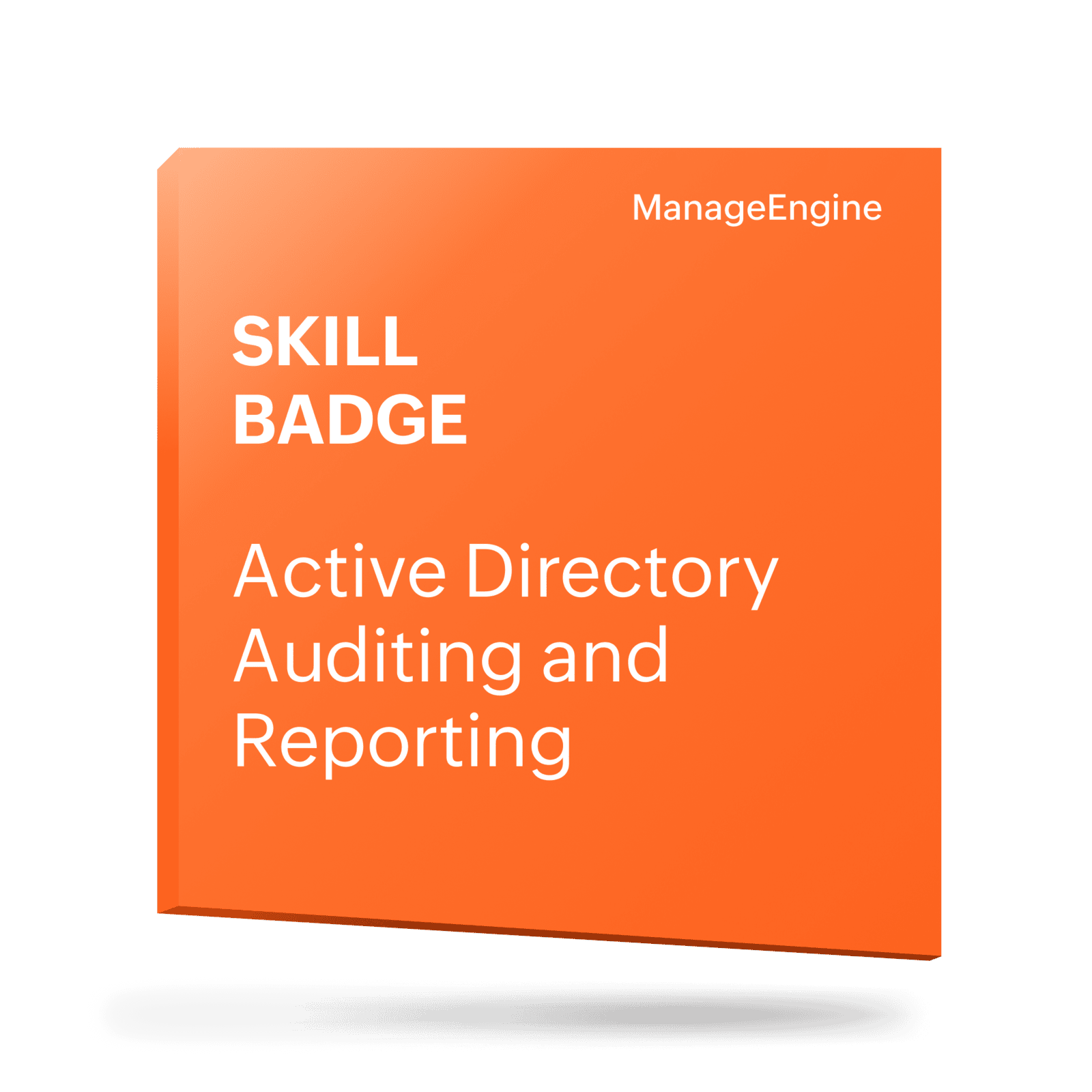 AD Auditing
