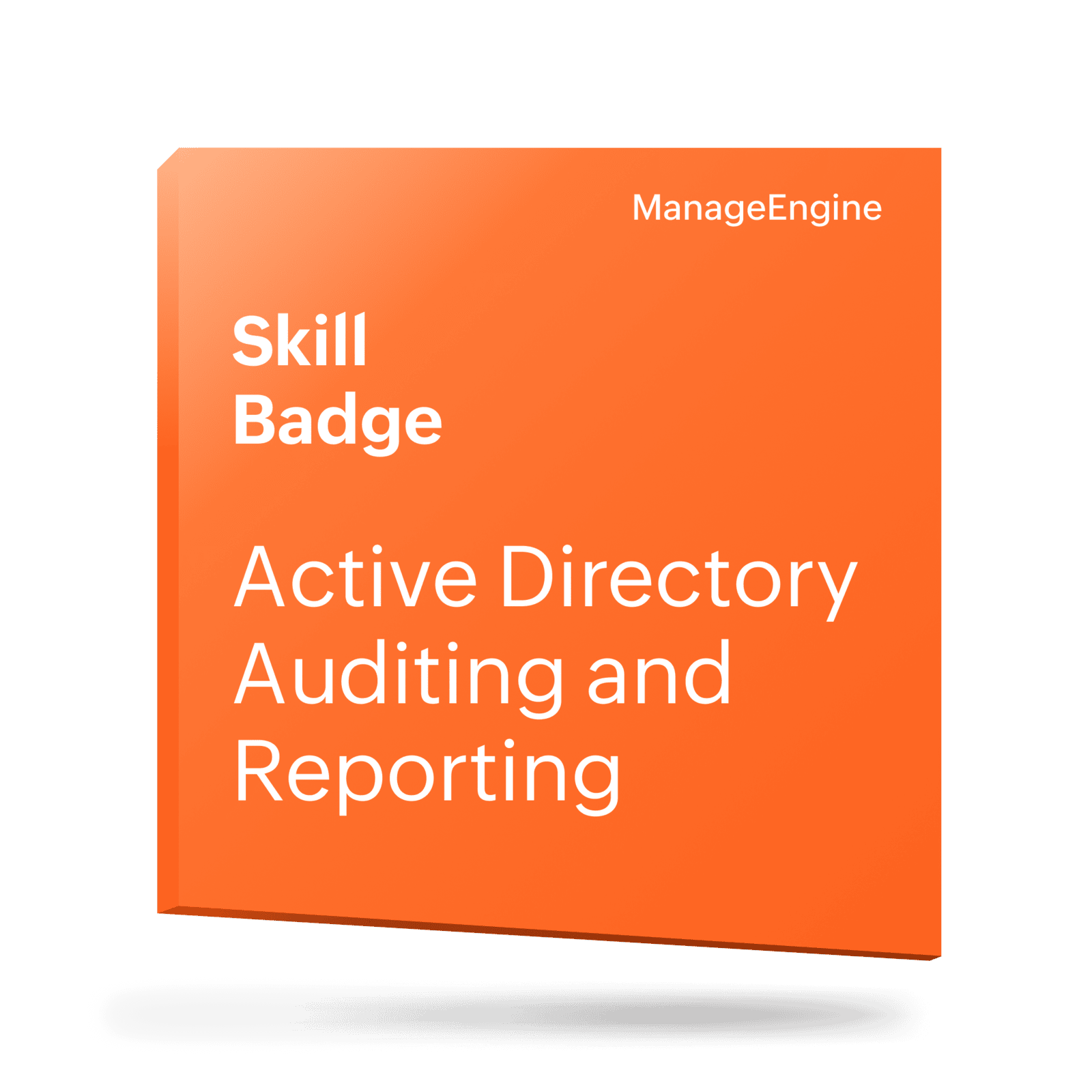 AD Auditing
