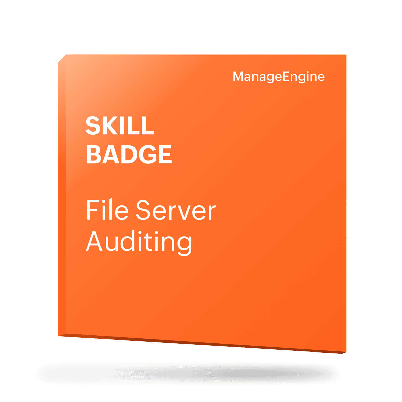 File Server