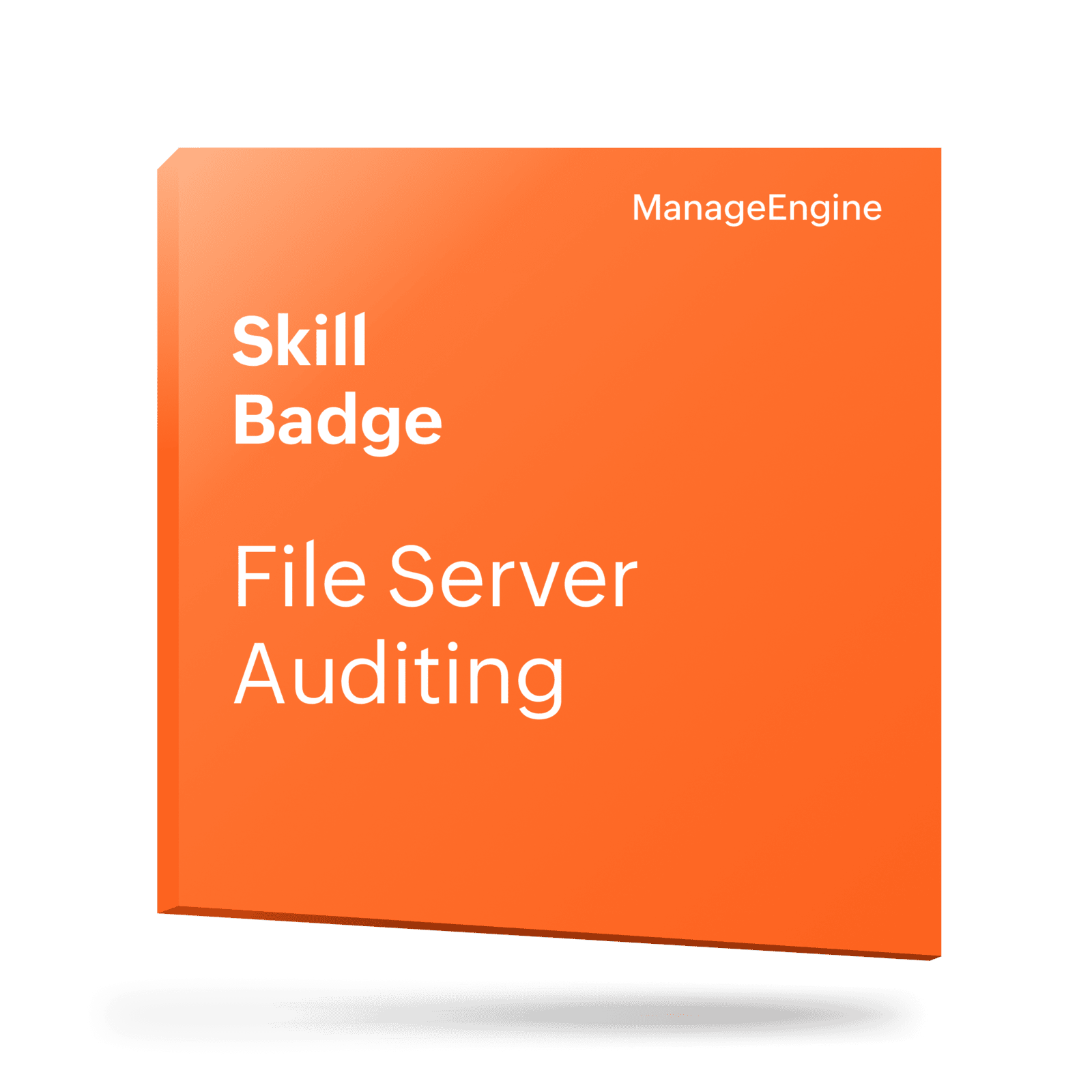 File Server