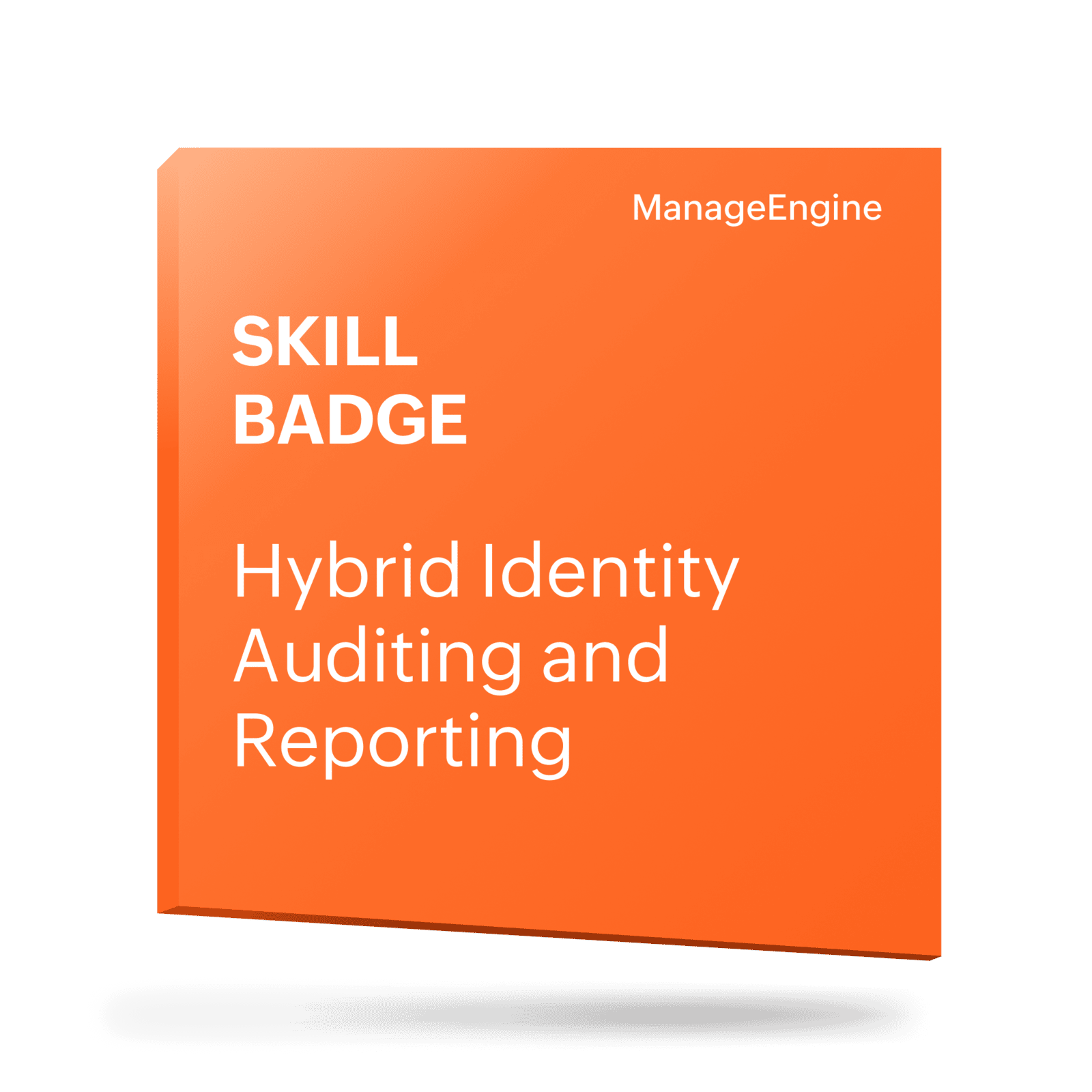 Hybrid Audit