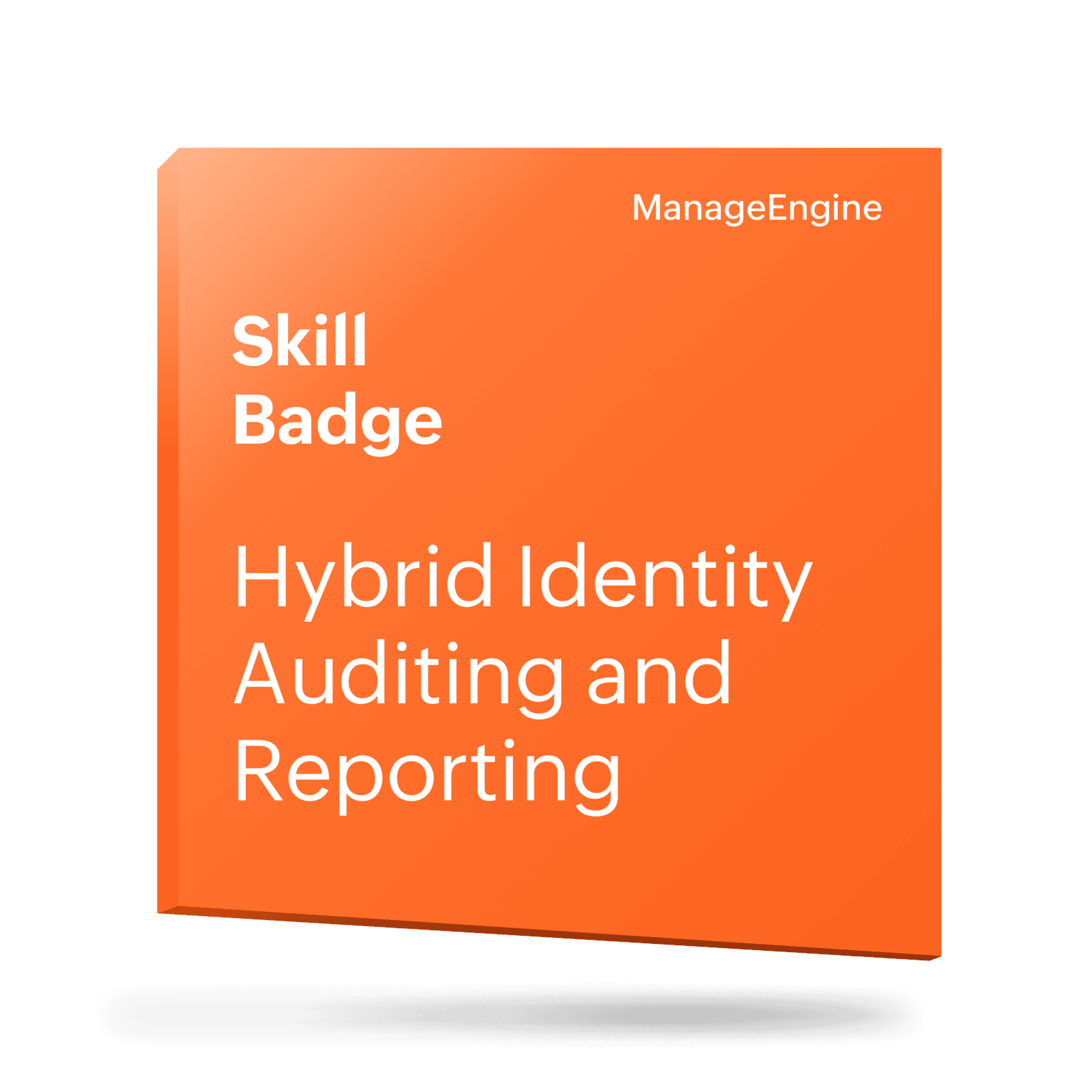 Hybrid Audit