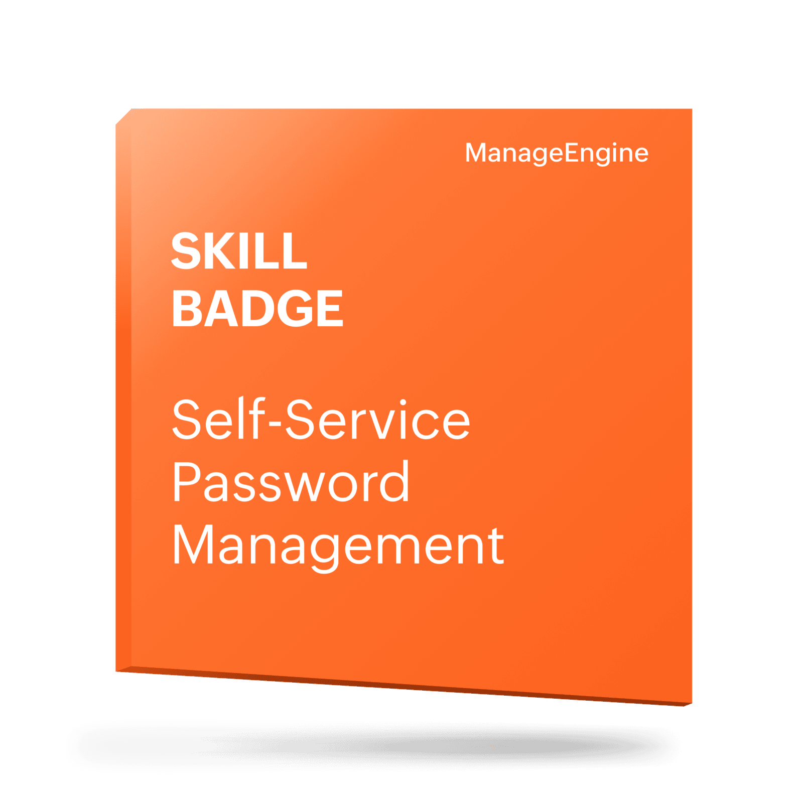 Password Mgmt