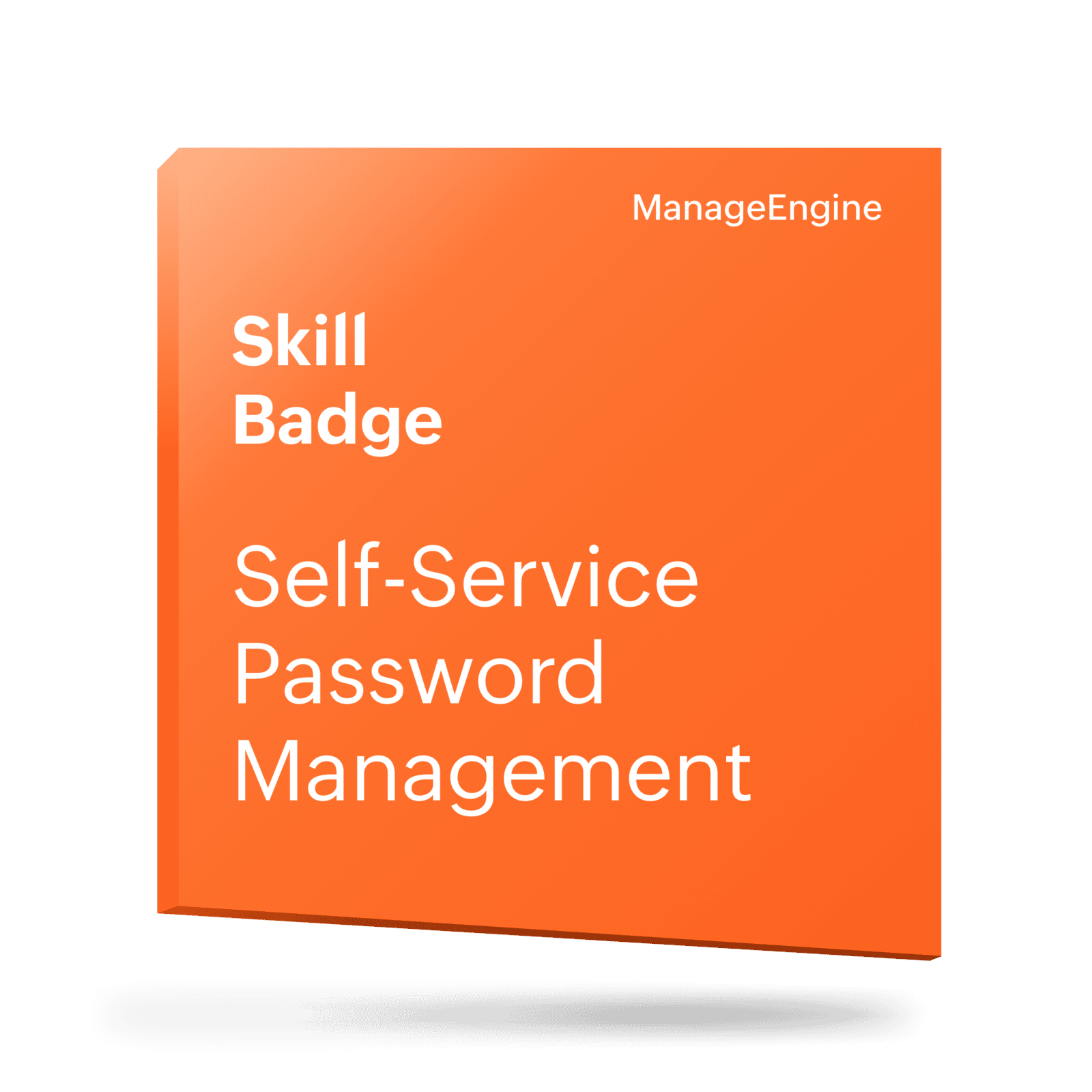 Password Mgmt