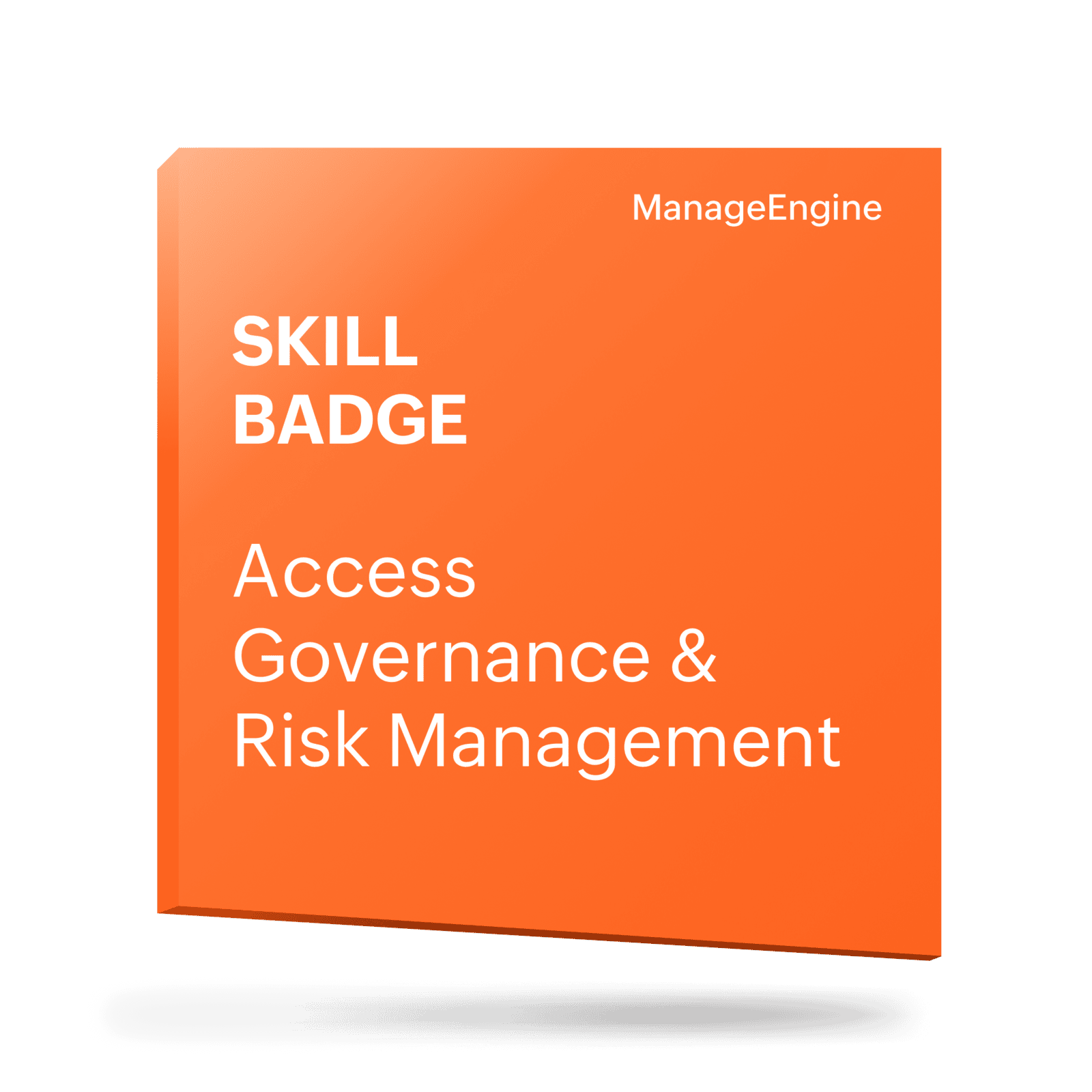 Access Governance