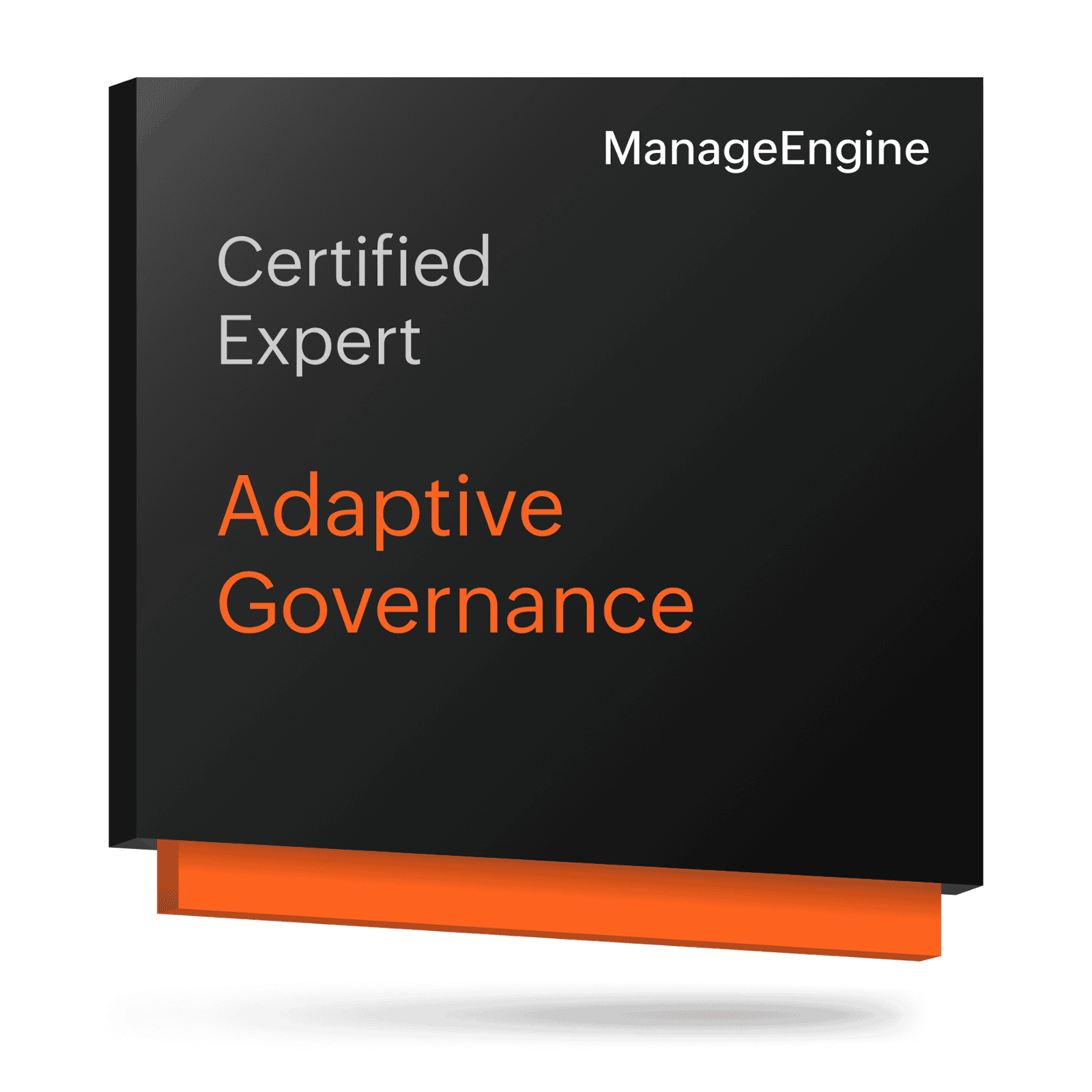 Adaptive Governance