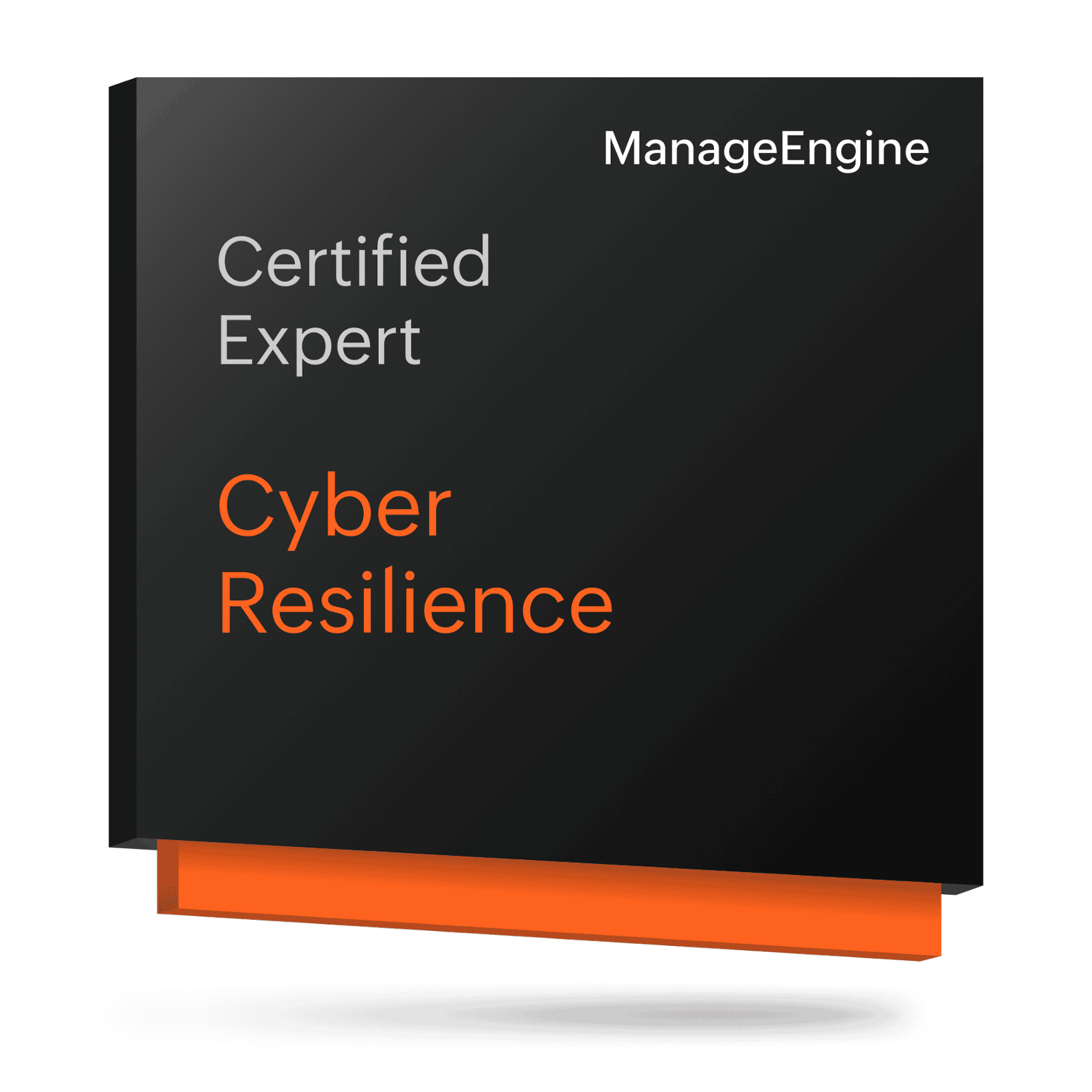 Cyber Resilience
