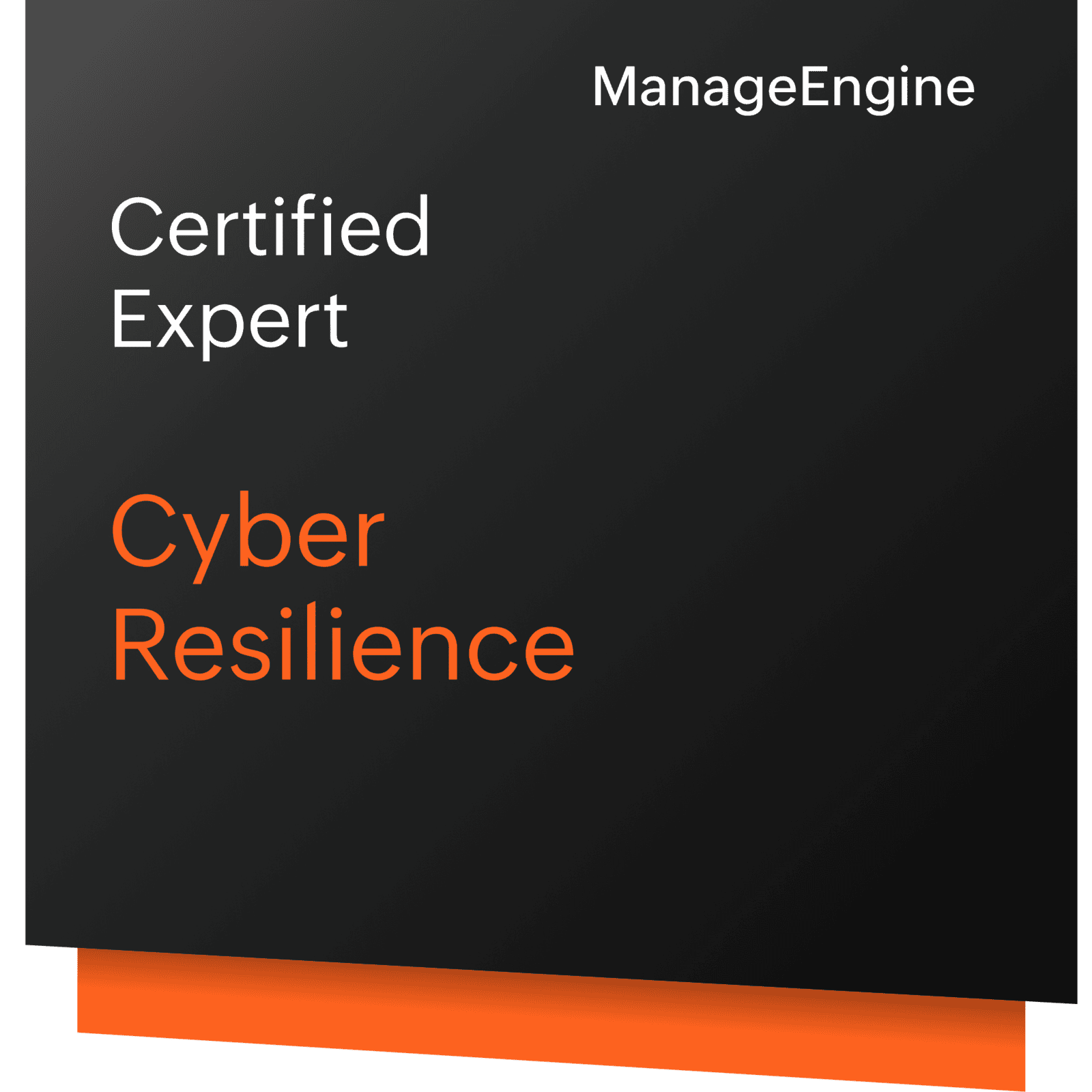 Cyber Resilience