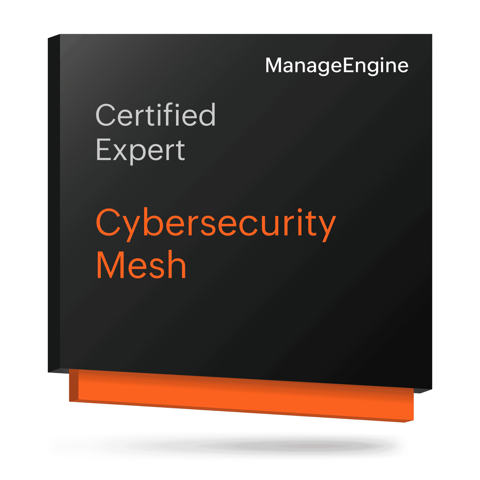 Cybersecurity Mesh