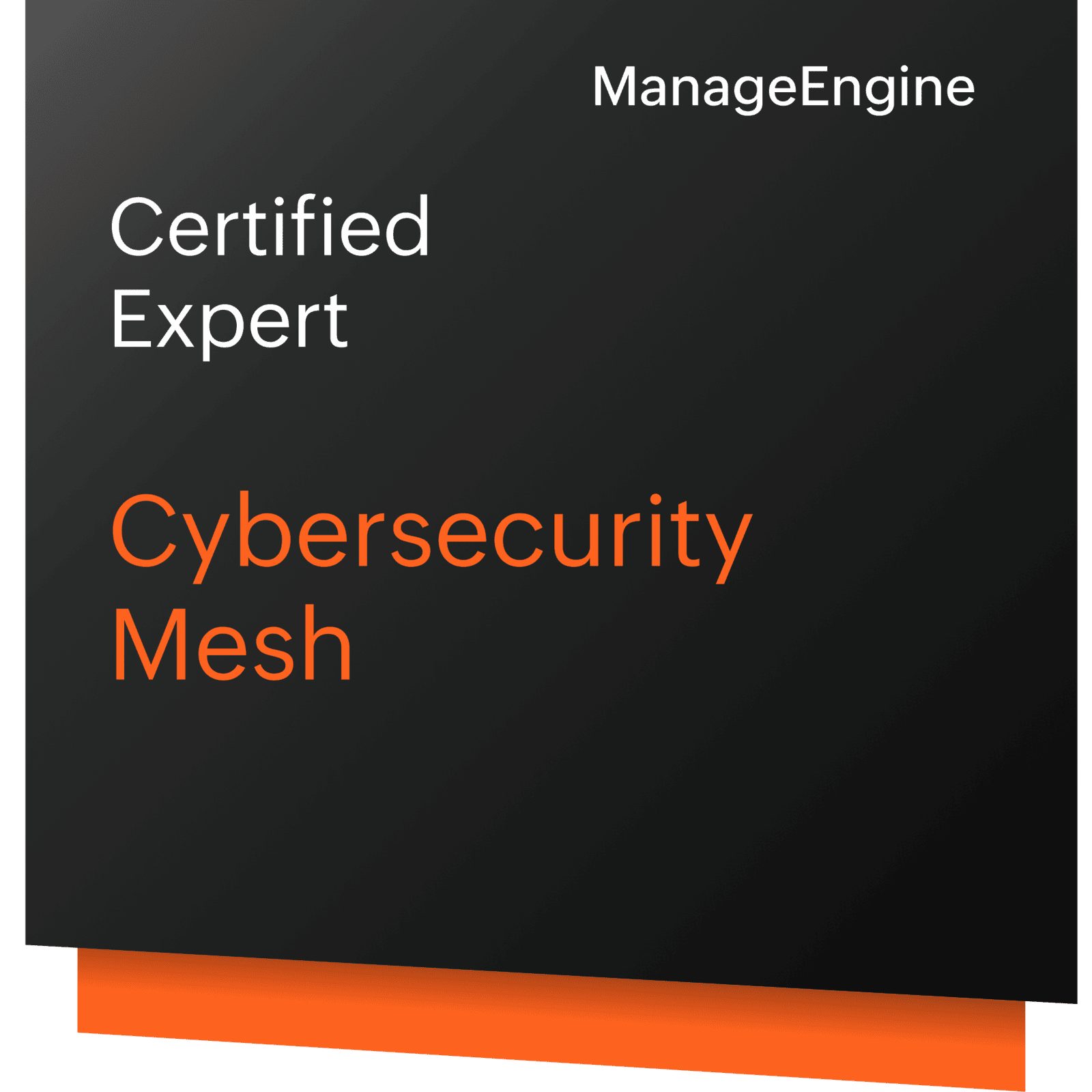 Cybersecurity Mesh