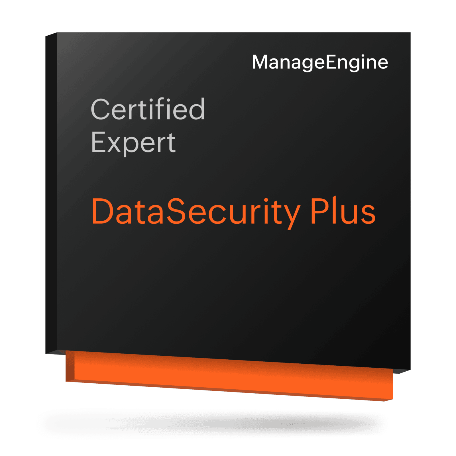 DataSecurity Plus