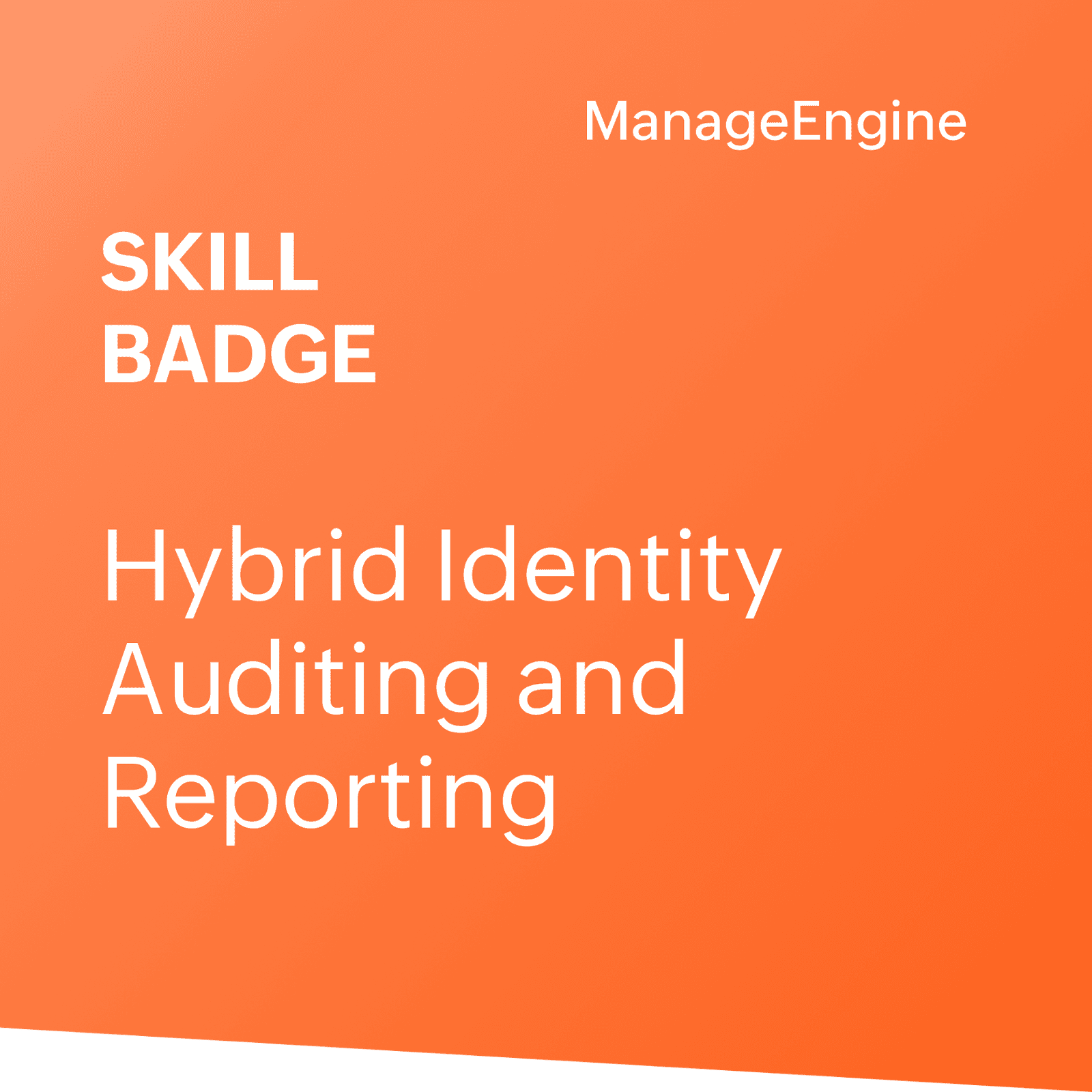 Hybrid Audit