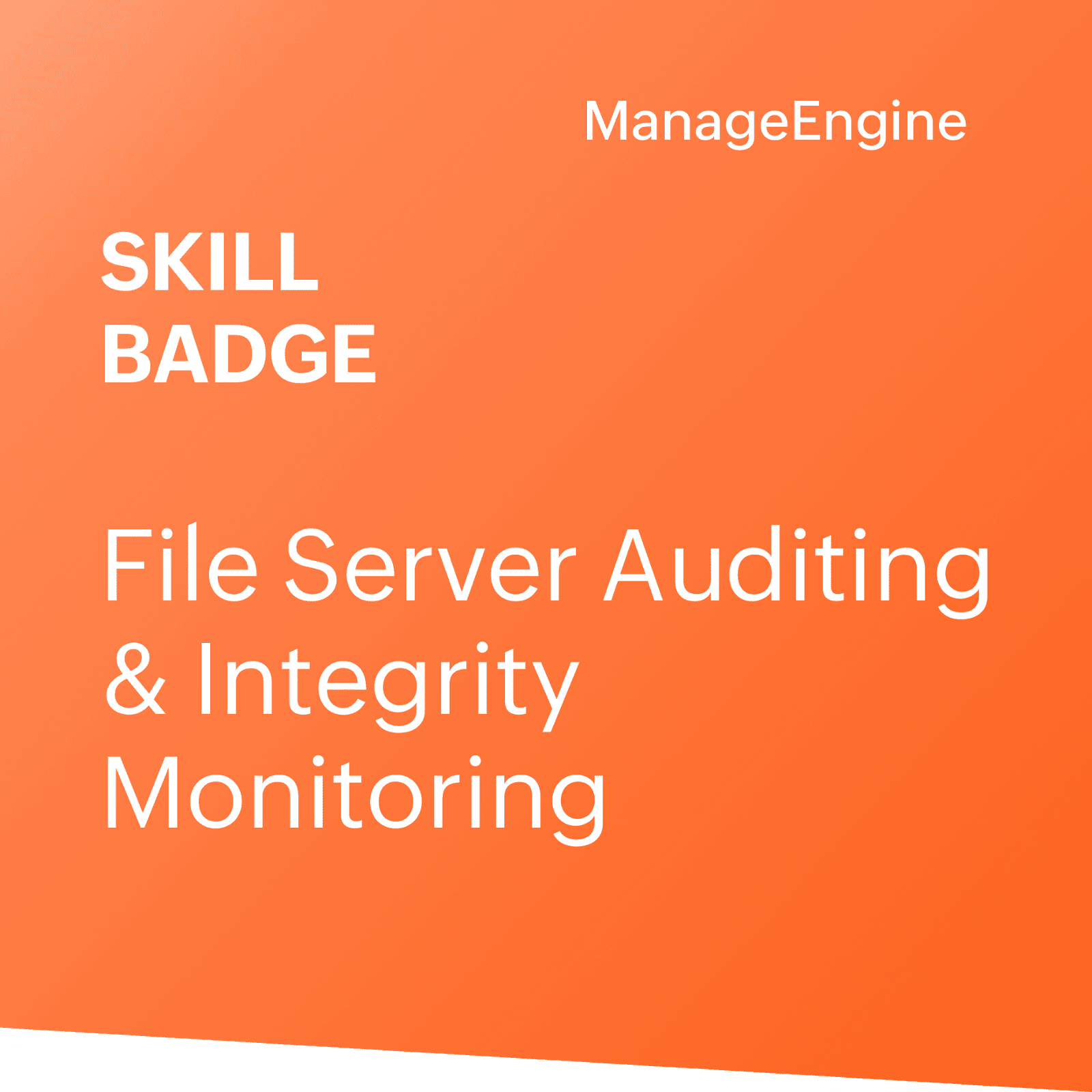 File Audit DSP