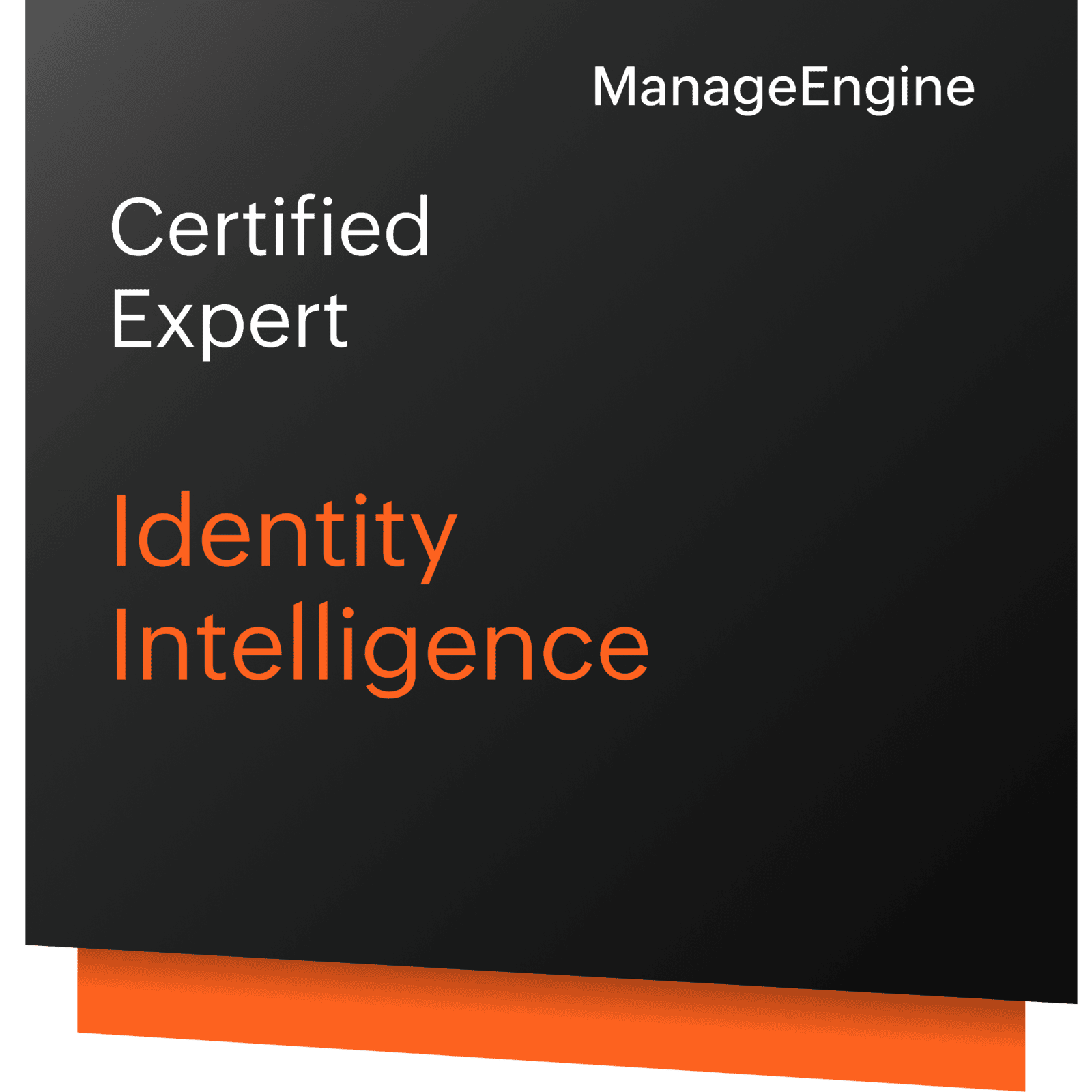Identity Intelligence