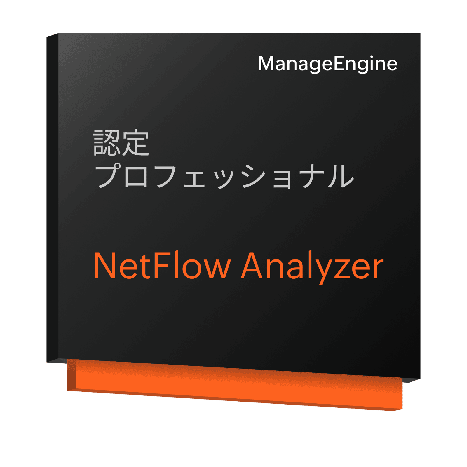 NetFlow Analyzer