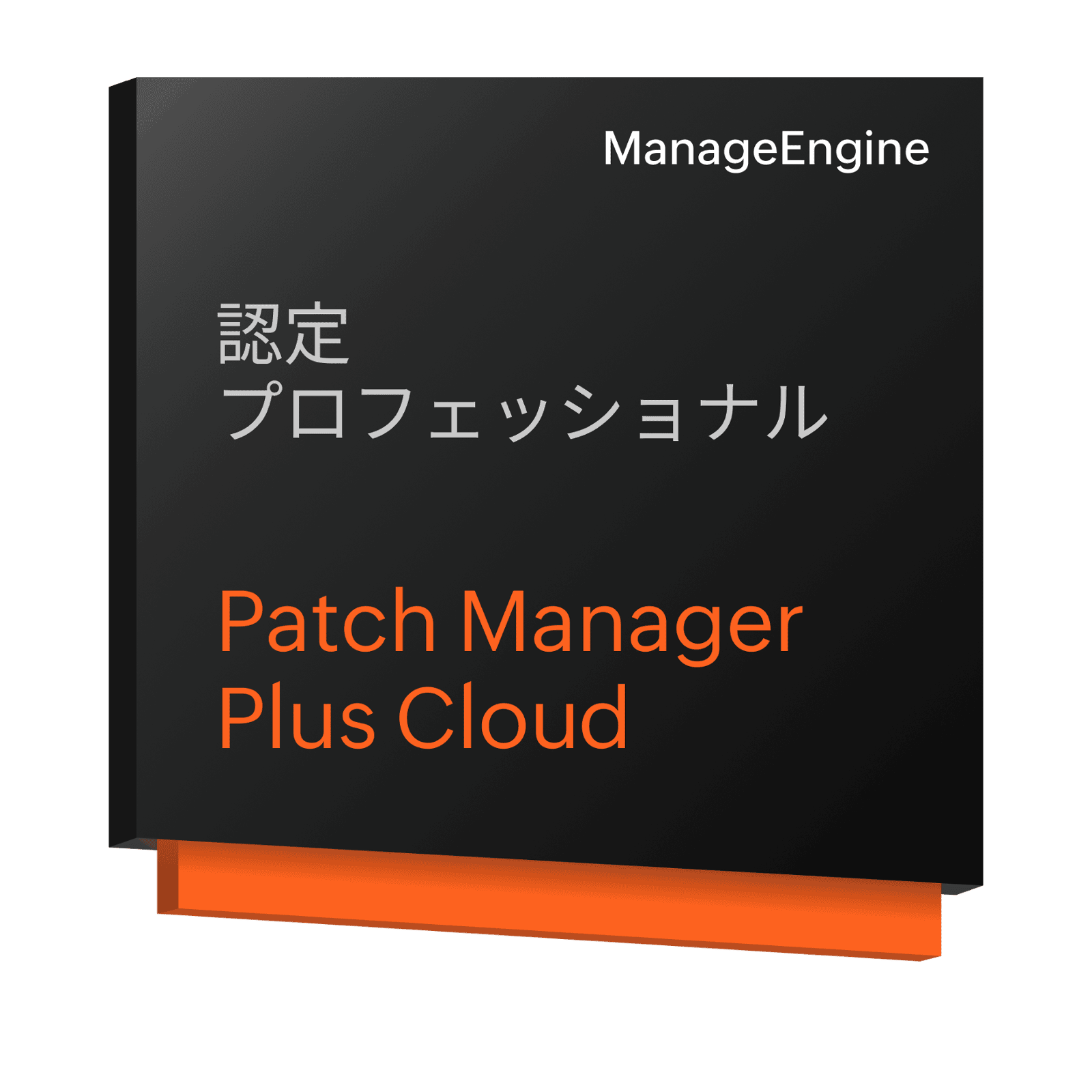 Patch Manager Plus Cloud