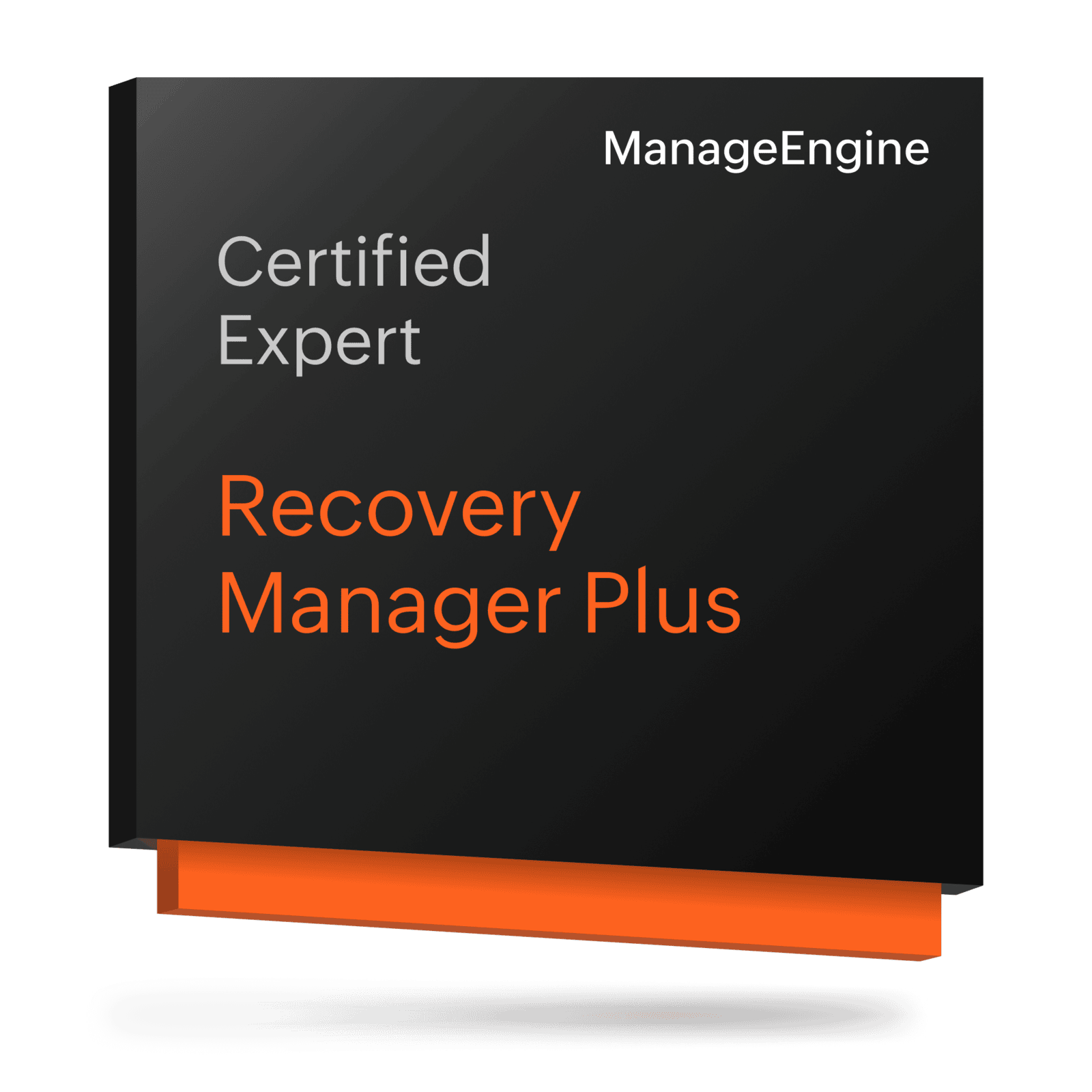 RecoveryManager Plus